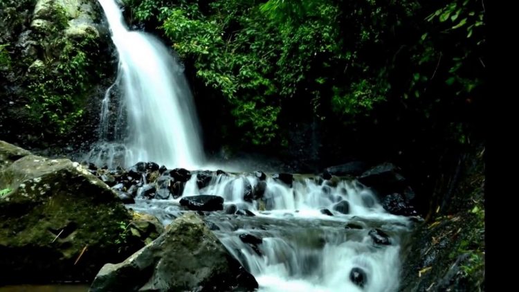 air terjun di jepara, air terjun jepara, air terjun sumenep, air terjun terbaik di jepara, curug di jepara, kedung di jepara, wisata air terjun di jepara, wisata alam di jepara, top 18+ air terjun di jepara terhits & terbaik, rute lokasi, alamat, harga tiket!