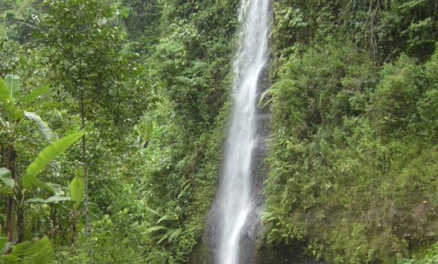 air terjun di jepara, air terjun jepara, air terjun sumenep, air terjun terbaik di jepara, curug di jepara, kedung di jepara, wisata air terjun di jepara, wisata alam di jepara, top 18+ air terjun di jepara terhits & terbaik, rute lokasi, alamat, harga tiket!