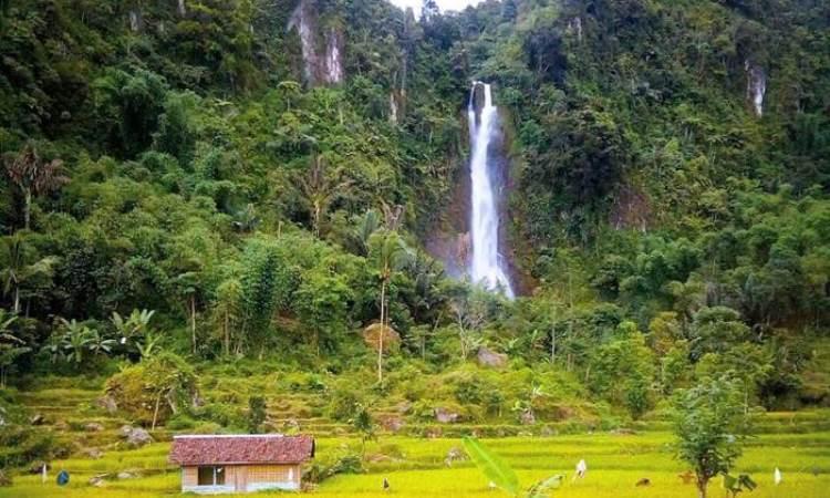 air terjun cianjur, air terjun di cianjur, curug cianjur, curug di cianjur, keindahan curug di cianjur, tempat wisata di cianjur, wisata air terjun di cianjur, wisata alam di cianjur, wisata curug di cianjur, top 18+ curug di cianjur terbaik & terhits, air terjun dengan view spektakuler!