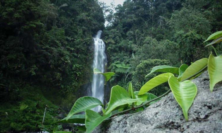 air terjun di garut, air terjun terbaik di garut, curug di garut, curug garut, curug indah di garut, curug terbaik di garut, rekreasi di garut, wisata alam di garut, wisata curug di garut, top 20+ curug di garut terbaik & terhits, keindahan air terjun nan spektakuler!