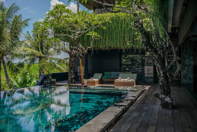 penginapan di canggu, rekomendasi villa di canggu, sewa villa di canggu, vila canggu, vila di canggu, villa asmara, villa canggu, villa di bali, villa di canggu, villa di kuta utara, villa mewah di canggu, villa murah di canggu, villa terbaik di canggu, top 20+ villa di canggu terbaik, mewah & murah, dekat pantai ada private pool