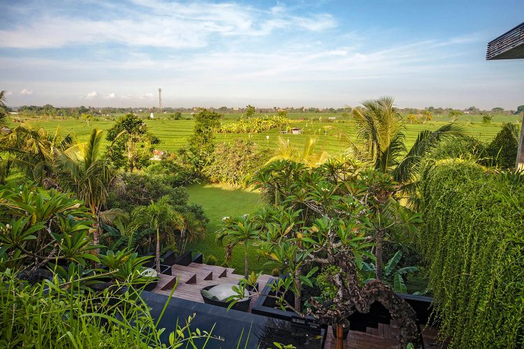 penginapan di canggu, rekomendasi villa di canggu, sewa villa di canggu, vila canggu, vila di canggu, villa asmara, villa canggu, villa di bali, villa di canggu, villa di kuta utara, villa mewah di canggu, villa murah di canggu, villa terbaik di canggu, top 20+ villa di canggu terbaik, mewah & murah, dekat pantai ada private pool