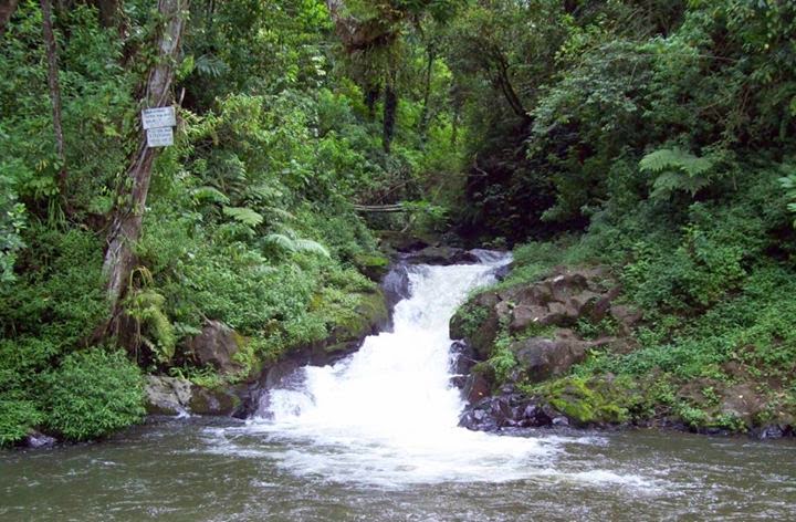 air terjun di bandung, curug di bandung, curug di bandung barat, curug di kota bandung, curug terbaik di bandung, curug terdekat di bandung, tempat wisata curug di bandung, tempat wisata di bandung, wisata alam di bandung, wisata curug di bandung, top 21+ curug di bandung terhits & terbaik, air terjun yang kece untuk rekreasi!