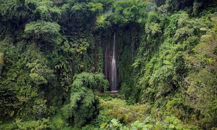 air terjun di bandung, curug di bandung, curug di bandung barat, curug di kota bandung, curug terbaik di bandung, curug terdekat di bandung, tempat wisata curug di bandung, tempat wisata di bandung, wisata alam di bandung, wisata curug di bandung, top 21+ curug di bandung terhits & terbaik, air terjun yang kece untuk rekreasi!