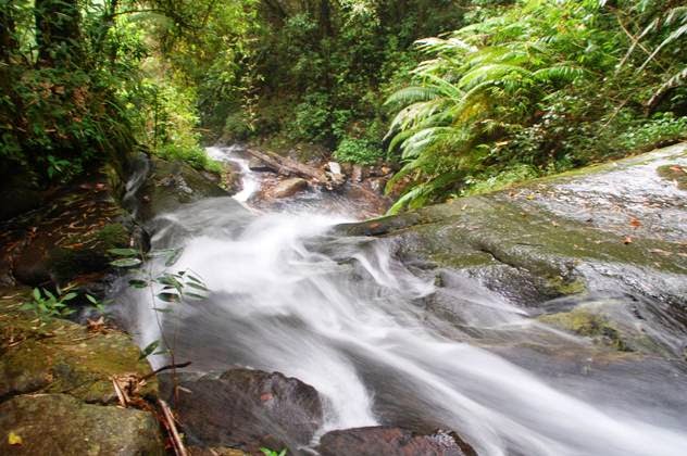 air terjun di bandung, curug di bandung, curug di bandung barat, curug di kota bandung, curug terbaik di bandung, curug terdekat di bandung, tempat wisata curug di bandung, tempat wisata di bandung, wisata alam di bandung, wisata curug di bandung, top 21+ curug di bandung terhits & terbaik, air terjun yang kece untuk rekreasi!