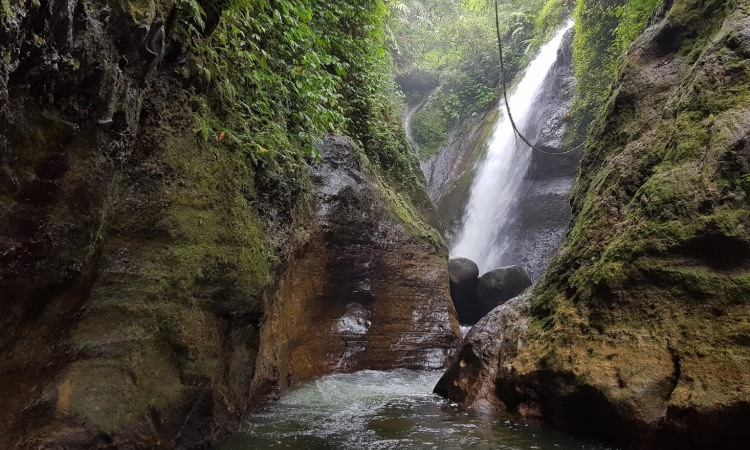 curug di puncak, curug di puncak bogor, curug di puncak yang bagus, curug indah di puncak, curug keren di puncak, curug kiara, curug puncak, curug yang bagus di puncak, top 22+ curug di puncak bogor terbaik & hits, air terjun super keren