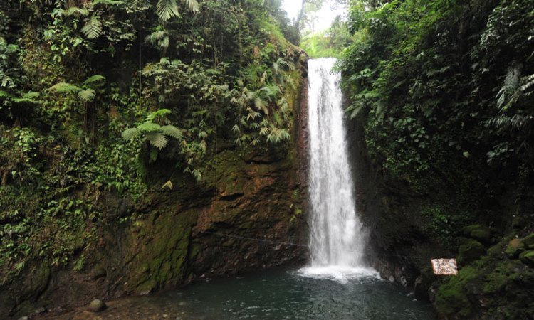 curug di puncak, curug di puncak bogor, curug di puncak yang bagus, curug indah di puncak, curug keren di puncak, curug kiara, curug puncak, curug yang bagus di puncak, top 22+ curug di puncak bogor terbaik & hits, air terjun super keren