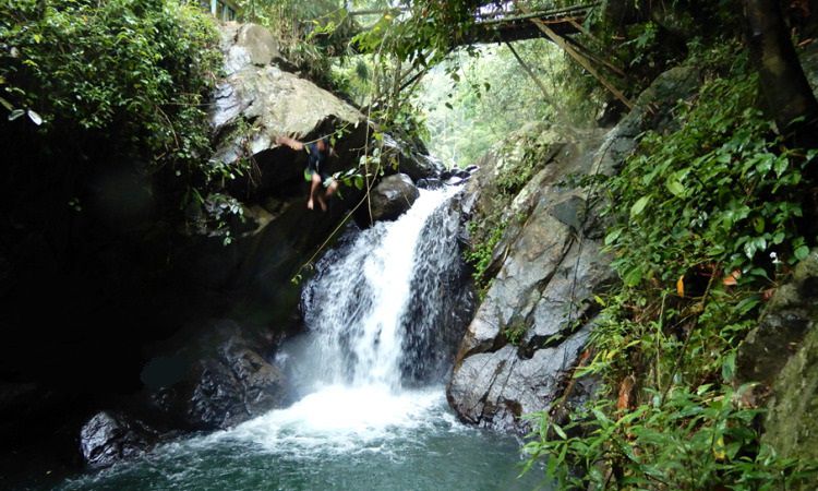 curug di puncak, curug di puncak bogor, curug di puncak yang bagus, curug indah di puncak, curug keren di puncak, curug kiara, curug puncak, curug yang bagus di puncak, top 22+ curug di puncak bogor terbaik & hits, air terjun super keren
