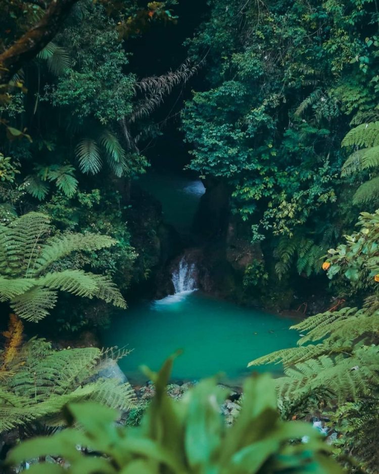 curug di puncak, curug di puncak bogor, curug di puncak yang bagus, curug indah di puncak, curug keren di puncak, curug kiara, curug puncak, curug yang bagus di puncak, top 22+ curug di puncak bogor terbaik & hits, air terjun super keren