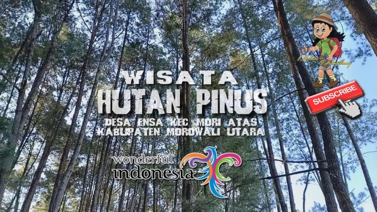 air terjun di morowali utara, destinasi wisata di morowali utara, objek wisata di morowali utara, pantai di morowali utara, tempat wisata di morowali utara, wisata alam di morowali utara, wisata di morowali utara, top 24+ tempat wisata di morowali utara terbaik & hits yang wajib dikunjungi