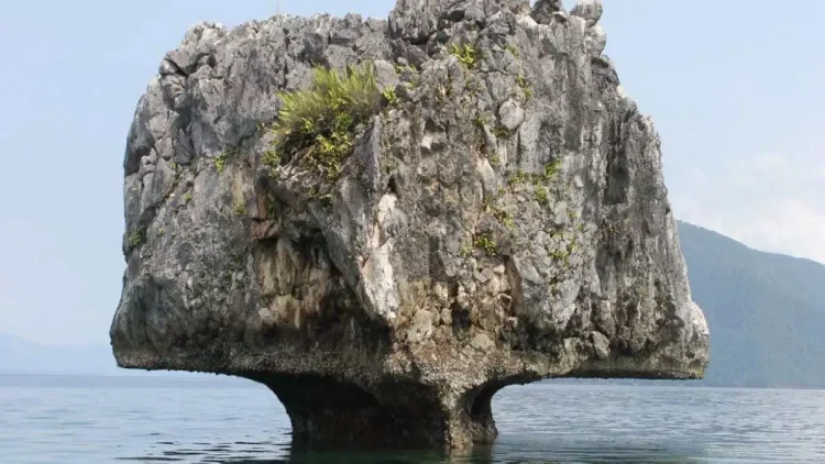 air terjun di morowali utara, destinasi wisata di morowali utara, objek wisata di morowali utara, pantai di morowali utara, tempat wisata di morowali utara, wisata alam di morowali utara, wisata di morowali utara, top 24+ tempat wisata di morowali utara terbaik & hits yang wajib dikunjungi