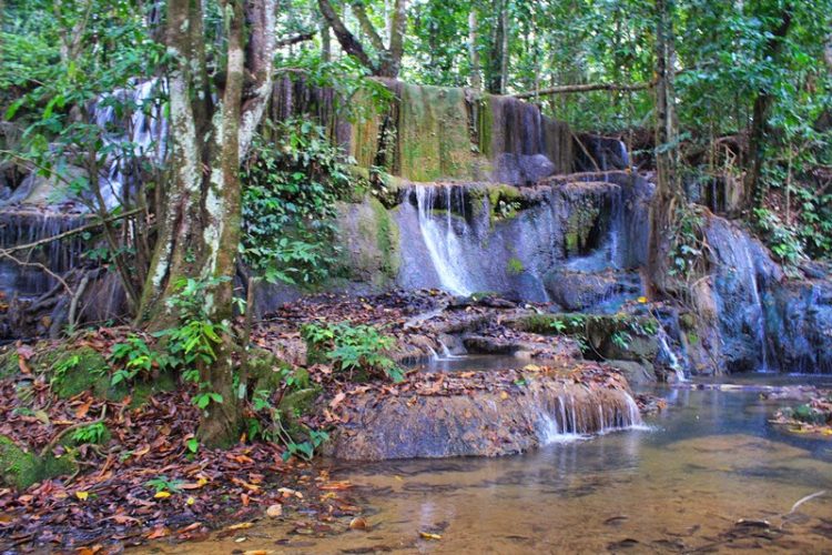 Top 24+ Tempat Wisata di Morowali Utara Terbaik & Hits yang Wajib Dikunjungi