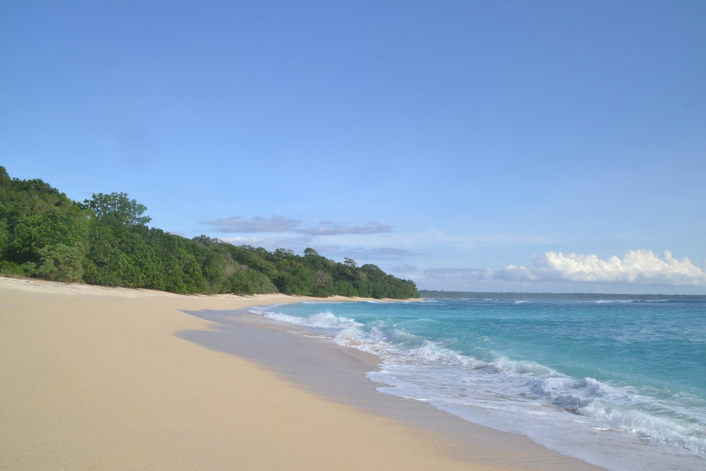 pantai banyuwangi, pantai di banyuwangi, pantai terbaik di banyuwangi, wisata pantai di banyuwangi, top 27+ pantai di banyuwangi terbaik & menawan yang wajib dikunjungi