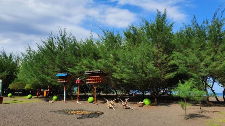 pantai banyuwangi, pantai di banyuwangi, pantai terbaik di banyuwangi, wisata pantai di banyuwangi, top 27+ pantai di banyuwangi terbaik & menawan yang wajib dikunjungi