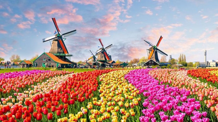 desa kinderdijk, kanal di belanda, objek wisata belanda, tempat wisata di belanda, wisata belanda, wisata belanda terbaru, top 28+ tempat wisata di belanda terbaik & terbaru yang wajib dikunjungi!