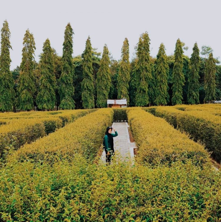 museum wasaka, objek wisata banjarmasin, objek wisata kalimantan selatan, pasar terapung, pulau kembang, tempat wisata banjarmasin, tempat wisata di banjarmasin, wisata banjarmasin, wisata kalimantan selatan, top 33+ tempat wisata di banjarmasin terbaik & terhits yang wajib dikunjungi
