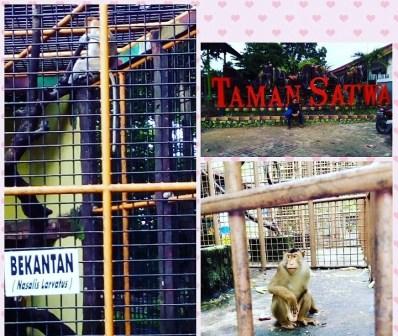 museum wasaka, objek wisata banjarmasin, objek wisata kalimantan selatan, pasar terapung, pulau kembang, tempat wisata banjarmasin, tempat wisata di banjarmasin, wisata banjarmasin, wisata kalimantan selatan, top 33+ tempat wisata di banjarmasin terbaik & terhits yang wajib dikunjungi