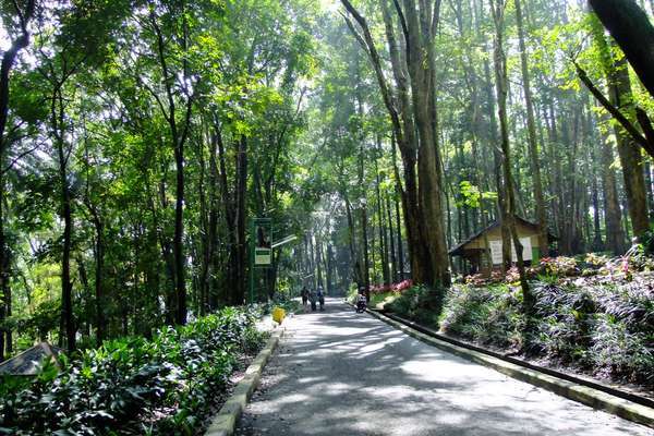 objek wisata tangerang selatan, rekreasi ke tangerang selatan, tangerang selatan, tempat liburan di tangerang selatan, tempat rekreasi di tangerang selatan, tempat wisata di tangerang selatan, tempat wisata tangerang selatan, wisata tangerang selatan, top 35+ tempat wisata di tangerang selatan terbaik & terhits yang kekinian!