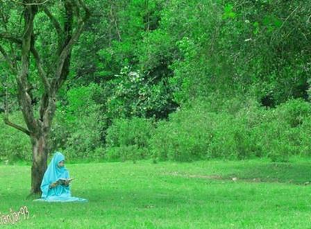 air terjun di melawi, objek wisata di melawi, tempat bermain anak di melawi, tempat instagramable di melawi, tempat liburan di melawi, tempat rekreasi di melawi, tempat wisata di melawi, wisata alam di melawi, wisata di melawi, top 36+ tempat wisata di melawi kalbar terbaik yang wajib dikunjungi
