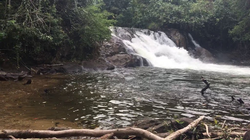 air terjun di melawi, objek wisata di melawi, tempat bermain anak di melawi, tempat instagramable di melawi, tempat liburan di melawi, tempat rekreasi di melawi, tempat wisata di melawi, wisata alam di melawi, wisata di melawi, top 36+ tempat wisata di melawi kalbar terbaik yang wajib dikunjungi