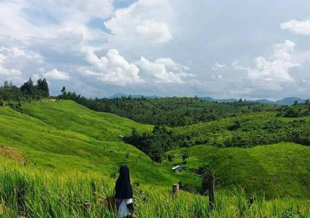 air terjun di melawi, objek wisata di melawi, tempat bermain anak di melawi, tempat instagramable di melawi, tempat liburan di melawi, tempat rekreasi di melawi, tempat wisata di melawi, wisata alam di melawi, wisata di melawi, top 36+ tempat wisata di melawi kalbar terbaik yang wajib dikunjungi