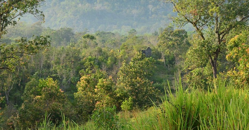 air terjun di melawi, objek wisata di melawi, tempat bermain anak di melawi, tempat instagramable di melawi, tempat liburan di melawi, tempat rekreasi di melawi, tempat wisata di melawi, wisata alam di melawi, wisata di melawi, top 36+ tempat wisata di melawi kalbar terbaik yang wajib dikunjungi