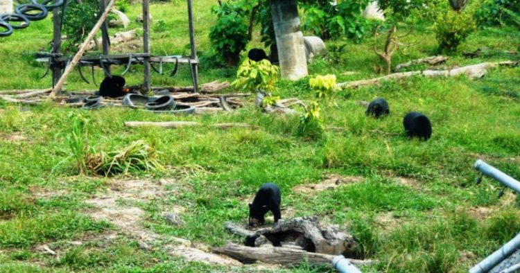 lokasi wisata balikpapan, tempat wisata di balikpapan, wisata alam balikpapan, wisata balikpapan, wisata belanja balikpapan, wisata budaya balikpapan, wisata hutan balikpapan, wisata pantai balikpapan, wisata sejarah balikpapan, top 38+ tempat wisata di balikpapan terbaru & hits yang wajib dikunjungi