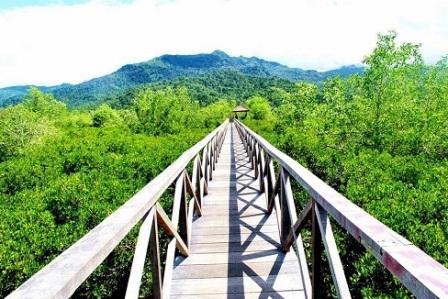 lokasi wisata balikpapan, tempat wisata di balikpapan, wisata alam balikpapan, wisata balikpapan, wisata belanja balikpapan, wisata budaya balikpapan, wisata hutan balikpapan, wisata pantai balikpapan, wisata sejarah balikpapan, top 38+ tempat wisata di balikpapan terbaru & hits yang wajib dikunjungi