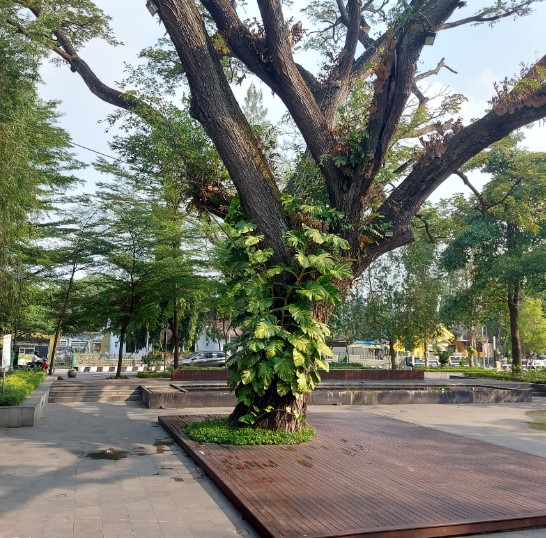 air terjun dolo, air terjun irenggolo, candi sirawana, candi tegowangi, destinasi wisata di kediri, gereja puh sarang, goa selomangleng, gua maria pohsarang, gumul paradise island, kampung inggris, kediri waterpark, konto river rafting, lokasi wisata di kediri, monumen simpang lima gumul, objek wisata di kediri, objek wisata gunung kelud, pagora, petilasan sri aji jayabaya, sate bekicot, tempat wisata di kediri, tjoe hwie kiong, wisata alam sumber ubalan, wisata kediri, top 39+ tempat wisata di kediri terbaru & terbaik yang wajib dikunjungi