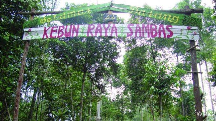 air terjun di sambas, objek wisata alam di sambas, pantai di sambas, tempat liburan di sambas, tempat rekreasi di sambas, tempat wisata alam di sambas, tempat wisata di sambas, wisata sambas, top 39+ tempat wisata di sambas kalbar terbaik & paling hits yang wajib dikunjungi