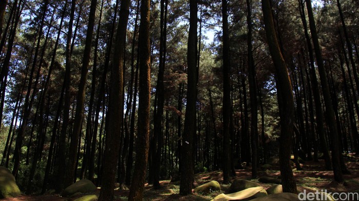 air terjun di sambas, objek wisata alam di sambas, pantai di sambas, tempat liburan di sambas, tempat rekreasi di sambas, tempat wisata alam di sambas, tempat wisata di sambas, wisata sambas, top 39+ tempat wisata di sambas kalbar terbaik & paling hits yang wajib dikunjungi