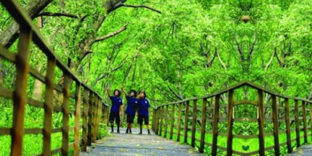air terjun di pontianak, objek wisata di pontianak, pantai di pontianak, pontianak, tempat liburan di pontianak, tempat rekreasi di pontianak, tempat wisata di pontianak, tempat wisata keluarga di pontianak, wisata alam di pontianak, wisata di pontianak, wisata pontianak, top 41+ tempat wisata di pontianak terbaru & terbaik yang wajib dikunjungi