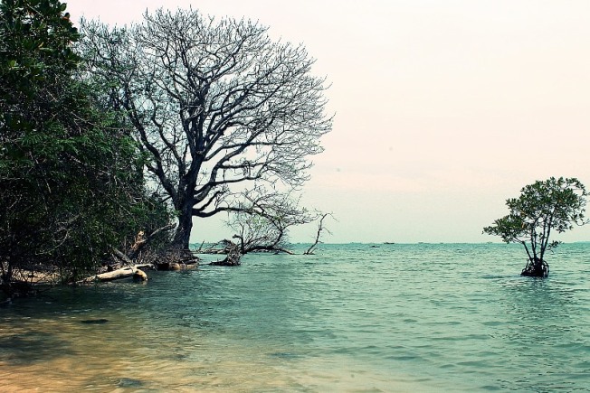 air terjun di serang, liburan di serang, objek wisata alam di serang, objek wisata di serang, objek wisata serang, pantai di serang, pinik di serang, serang, tempat liburan di serang, tempat piknik di serang, tempat wisata di serang, tempat wisata serang, wisata alam di serang, wisata alam serang, wisata di serang, wisata serang, top 45+ tempat wisata di serang terbaru & paling seru yang wajib dikunjungi!