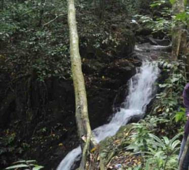 objek wisata kayong utara, tempat liburan di kayong utara, tempat rekreasi di kayong utara, tempat wisata di kayong utara, wisata alam kayong utara, wisata kayong utara, top 49+ tempat wisata di kayong utara terbaik & hits yang wajib dikunjungi