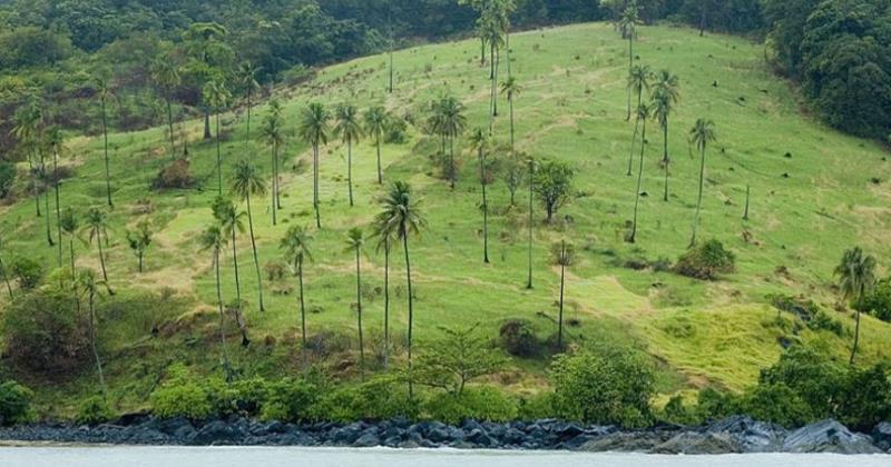 objek wisata kayong utara, tempat liburan di kayong utara, tempat rekreasi di kayong utara, tempat wisata di kayong utara, wisata alam kayong utara, wisata kayong utara, top 49+ tempat wisata di kayong utara terbaik & hits yang wajib dikunjungi