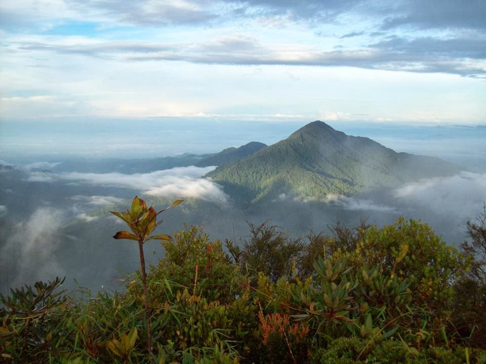 objek wisata kayong utara, tempat liburan di kayong utara, tempat rekreasi di kayong utara, tempat wisata di kayong utara, wisata alam kayong utara, wisata kayong utara, top 49+ tempat wisata di kayong utara terbaik & hits yang wajib dikunjungi