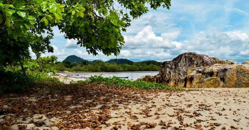 Top 49+ Tempat Wisata di Kayong Utara Terbaik & Hits yang Wajib Dikunjungi