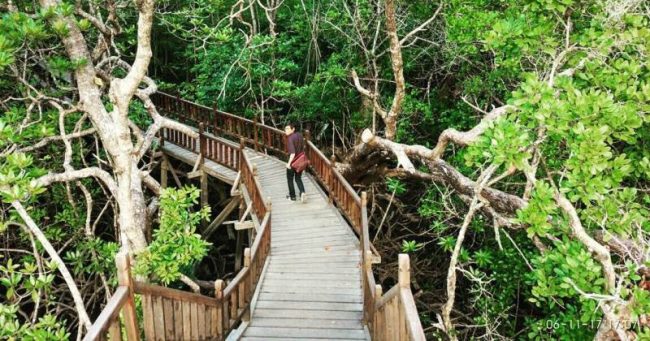 objek wisata kayong utara, tempat liburan di kayong utara, tempat rekreasi di kayong utara, tempat wisata di kayong utara, wisata alam kayong utara, wisata kayong utara, top 49+ tempat wisata di kayong utara terbaik & hits yang wajib dikunjungi