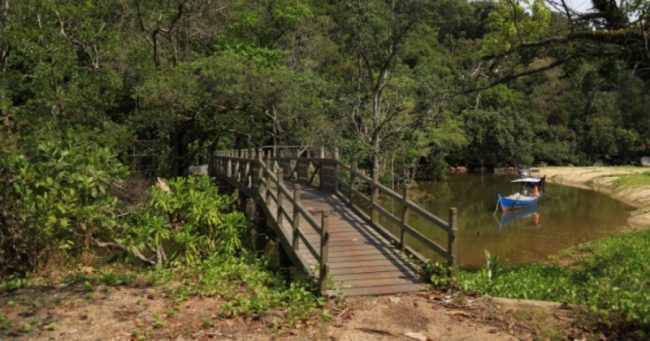 objek wisata kayong utara, tempat liburan di kayong utara, tempat rekreasi di kayong utara, tempat wisata di kayong utara, wisata alam kayong utara, wisata kayong utara, top 49+ tempat wisata di kayong utara terbaik & hits yang wajib dikunjungi