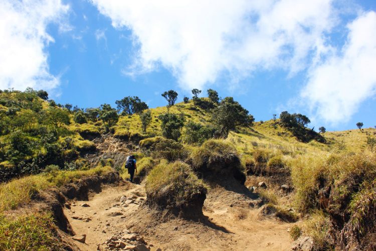 fasilitas gunung merbabu, gunung merbabu, jalur pendakian gunung merbabu, keindahan gunung merbabu, puncak gunung merbabu, rute gunung merbabu, rute pendakian gunung merbabu, top 5+ jalur pendakian gunung merbabu, nikmati keindahan puncak golden sunsetnya!