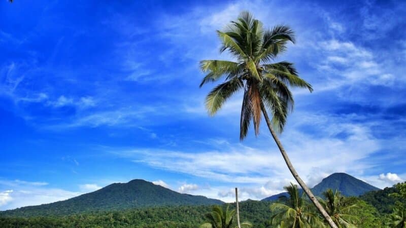 air terjun kima atas, arung jeram sawangan, bukit kasih, bunaken, danau tondano, kawasan boulevard, kota bunga tomohon, lokasi wisata di manado, manado, museum negeri sulawesi utara, objek wisata di manado, pantai malalayang, taman laut bunaken, taman wisata tandurusa, tempat wisata, tempat wisata di manado, tempat wisata di menado, tempat wisata manado, wisata manado, top 58+ tempat wisata di manado terbaik & terhits yang wajib dikunjungi!