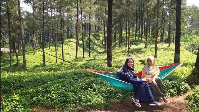 air terjun di banyumas, banyumas, baturraden, tempat liburan di banyumas, tempat wisata di banyumas, wisata alam di banyumas, wisata banyumas, top 67+ tempat wisata di banyumas terbaru & paling hits yang wajib dikunjungi