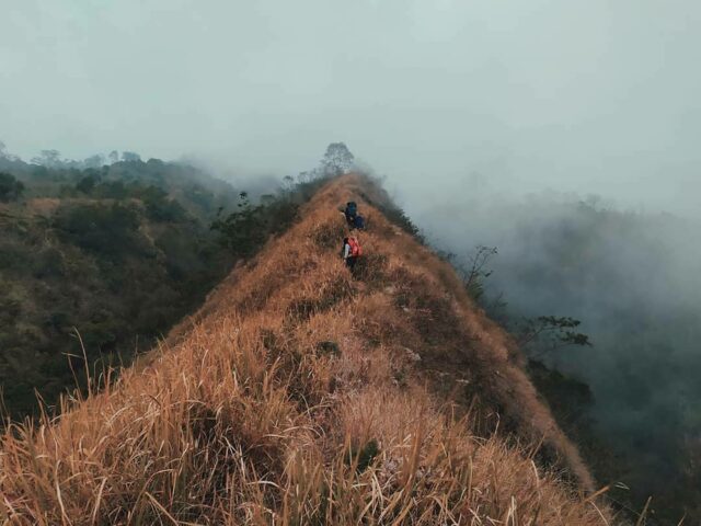 alamat gunung sindoro, jalur pendakian gunung sindoro, jalur pendakian puncak gunung sindoro, keindahan gunung sindoro, ketinggian gunung sindoro, puncak gunung sindoro, tinggi gunung sindoro, wisata gunung sindoro, top 7+ jalur pendakian favorit gunung sindoro, untuk pemula sampai pendaki mahir