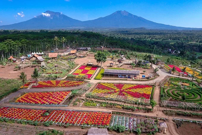 agrowisata kali klatak, air terjun kalibendo, air terjun lider, banyuwangi, destinasi wisata di banyuwangi, kawah ijen, pantai plengkung, pantai pulau merah, pantai rajegwesi, pantai watu dodol, pemandian taman suruh, teluk hijau, tempat wisata, tempat wisata banyuwangi, tempat wisata di banyuwangi, tempat wisata favorit di banyuwangi, tempat wisata paling terkenal di banyuwangi, wisata banyuwangi, x-badeng adventure banyuwangi, top 71+ tempat wisata di banyuwangi terbaru & hits yang wajib dikunjungi