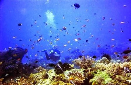 agrowisata kali klatak, air terjun kalibendo, air terjun lider, banyuwangi, destinasi wisata di banyuwangi, kawah ijen, pantai plengkung, pantai pulau merah, pantai rajegwesi, pantai watu dodol, pemandian taman suruh, teluk hijau, tempat wisata, tempat wisata banyuwangi, tempat wisata di banyuwangi, tempat wisata favorit di banyuwangi, tempat wisata paling terkenal di banyuwangi, wisata banyuwangi, x-badeng adventure banyuwangi, top 71+ tempat wisata di banyuwangi terbaru & hits yang wajib dikunjungi