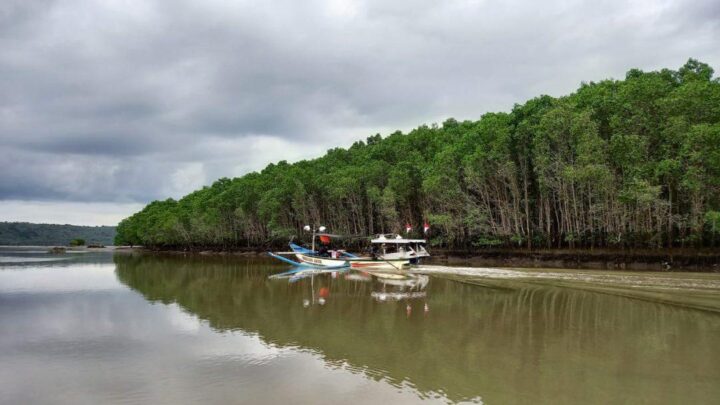 agrowisata kali klatak, air terjun kalibendo, air terjun lider, banyuwangi, destinasi wisata di banyuwangi, kawah ijen, pantai plengkung, pantai pulau merah, pantai rajegwesi, pantai watu dodol, pemandian taman suruh, teluk hijau, tempat wisata, tempat wisata banyuwangi, tempat wisata di banyuwangi, tempat wisata favorit di banyuwangi, tempat wisata paling terkenal di banyuwangi, wisata banyuwangi, x-badeng adventure banyuwangi, top 71+ tempat wisata di banyuwangi terbaru & hits yang wajib dikunjungi