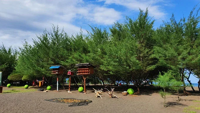 agrowisata kali klatak, air terjun kalibendo, air terjun lider, banyuwangi, destinasi wisata di banyuwangi, kawah ijen, pantai plengkung, pantai pulau merah, pantai rajegwesi, pantai watu dodol, pemandian taman suruh, teluk hijau, tempat wisata, tempat wisata banyuwangi, tempat wisata di banyuwangi, tempat wisata favorit di banyuwangi, tempat wisata paling terkenal di banyuwangi, wisata banyuwangi, x-badeng adventure banyuwangi, top 71+ tempat wisata di banyuwangi terbaru & hits yang wajib dikunjungi