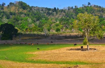 agrowisata kali klatak, air terjun kalibendo, air terjun lider, banyuwangi, destinasi wisata di banyuwangi, kawah ijen, pantai plengkung, pantai pulau merah, pantai rajegwesi, pantai watu dodol, pemandian taman suruh, teluk hijau, tempat wisata, tempat wisata banyuwangi, tempat wisata di banyuwangi, tempat wisata favorit di banyuwangi, tempat wisata paling terkenal di banyuwangi, wisata banyuwangi, x-badeng adventure banyuwangi, top 71+ tempat wisata di banyuwangi terbaru & hits yang wajib dikunjungi