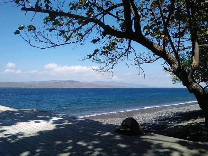 agrowisata kali klatak, air terjun kalibendo, air terjun lider, banyuwangi, destinasi wisata di banyuwangi, kawah ijen, pantai plengkung, pantai pulau merah, pantai rajegwesi, pantai watu dodol, pemandian taman suruh, teluk hijau, tempat wisata, tempat wisata banyuwangi, tempat wisata di banyuwangi, tempat wisata favorit di banyuwangi, tempat wisata paling terkenal di banyuwangi, wisata banyuwangi, x-badeng adventure banyuwangi, top 71+ tempat wisata di banyuwangi terbaru & hits yang wajib dikunjungi