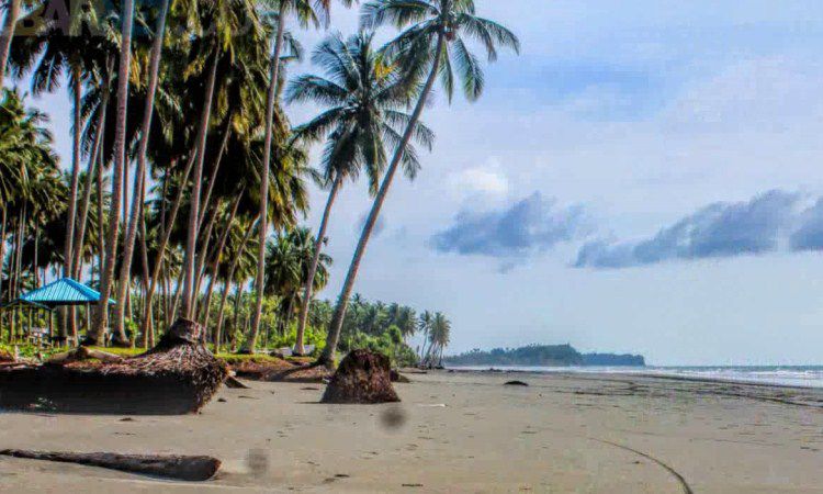 Top 9+ Tempat Wisata di Pasangkayu Terbaik & TerHits yang Wajib Dikunjungi